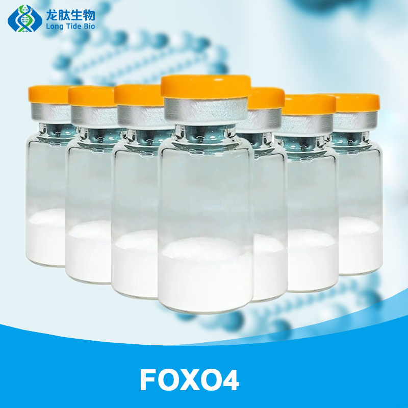 FOXO4 wholesale